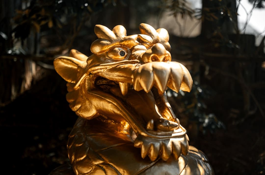 云南蘑菇是什么梗